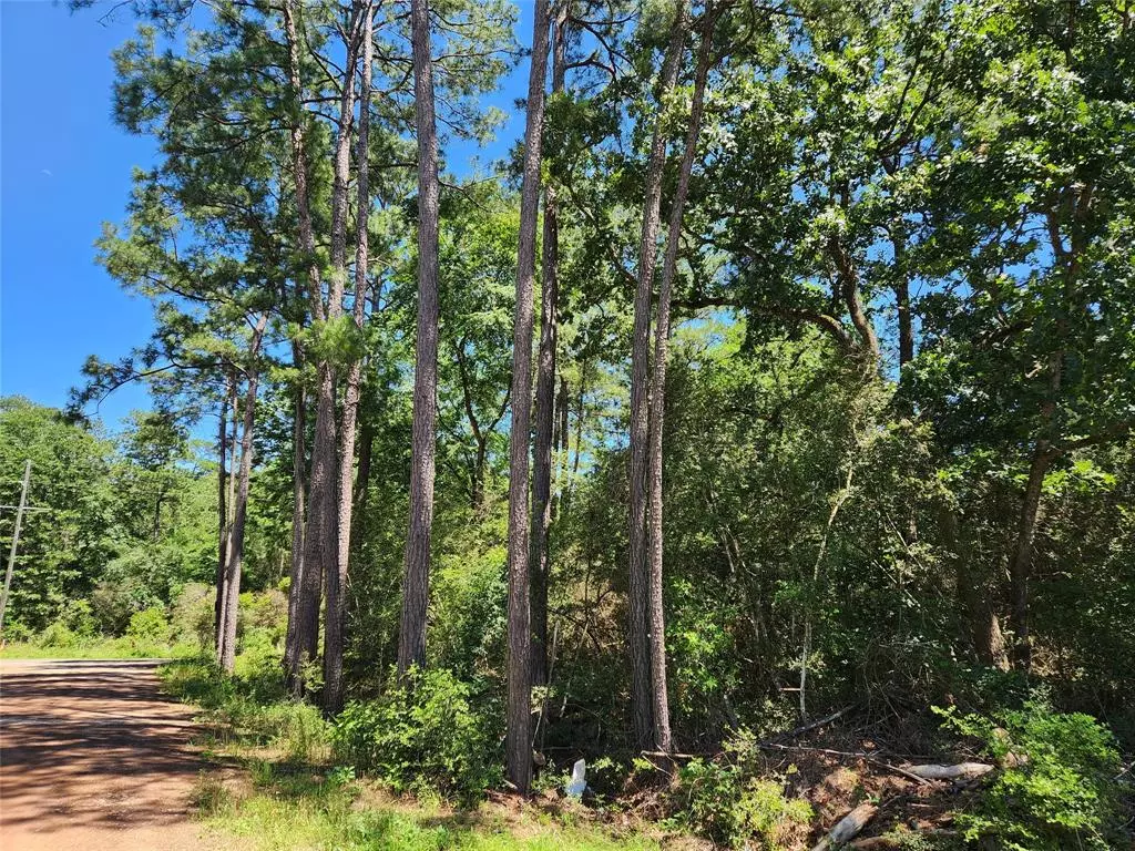 Plantersville, TX 77363,Lot 1 Coral Bean LN