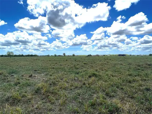 Rosharon, TX 77583,0 Lot 4, County Road 382