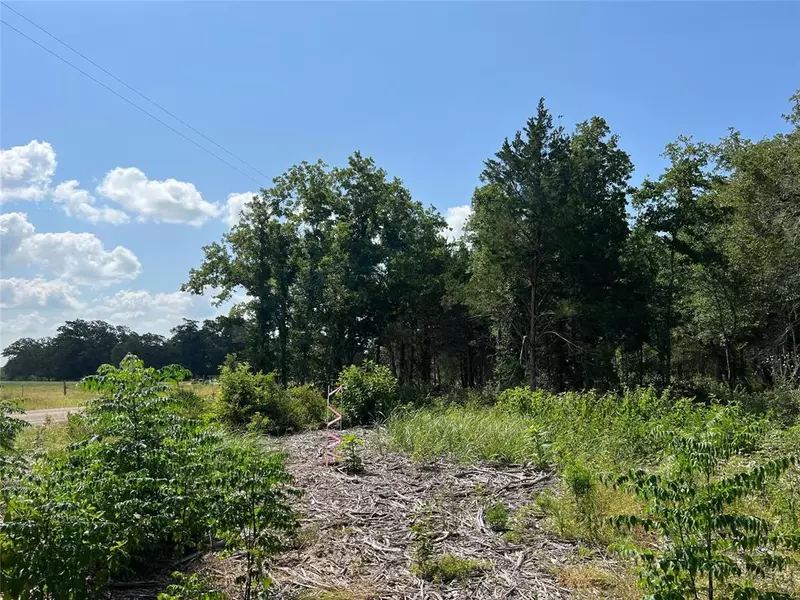 TBD FM 1697 - Tract 7, Ledbetter, TX 78946