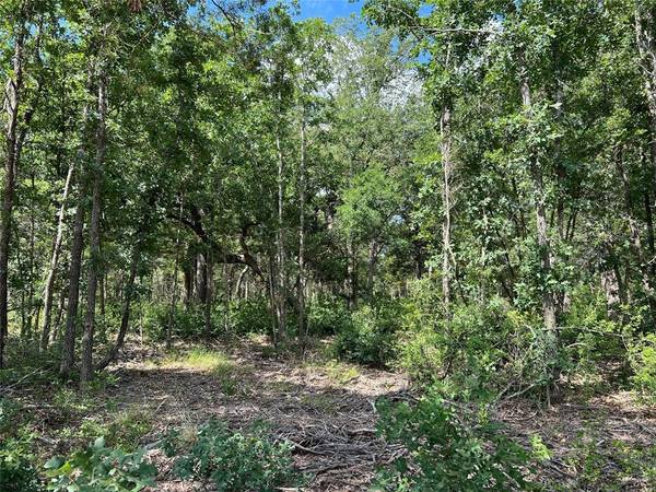 Ledbetter, TX 78946,TBD FM 1697 - Tract 7