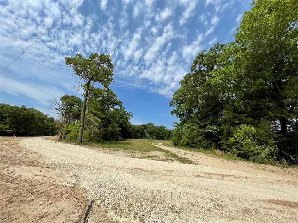 Fairfield, TX 75840,TBD Tract 11 Private Road 207