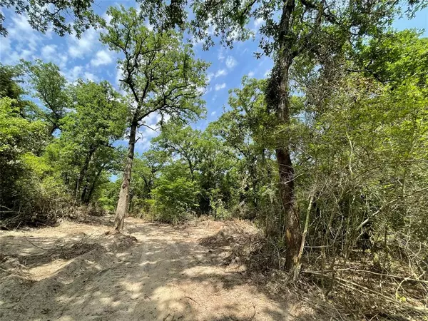 Fairfield, TX 75840,TBD Tract 11 Private Road 207