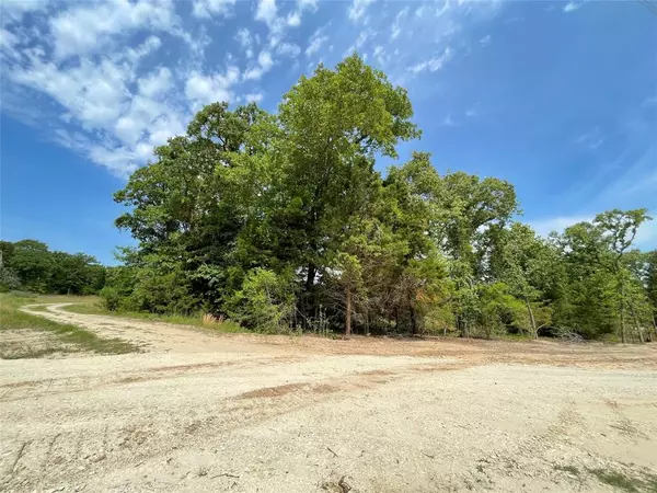 Fairfield, TX 75840,TBD Tract 11 Private Road 207