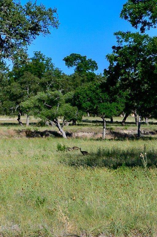 Center Point, TX 78010,LOT 85 CREEKSIDE AT CAMP VERDE