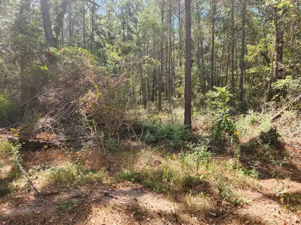 Plantersville, TX 77363,Lot 25 Yellow Poplar LN