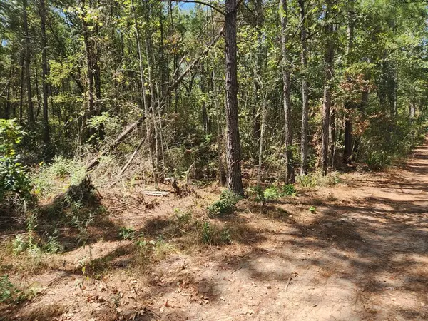 Plantersville, TX 77363,Lot 25 Yellow Poplar LN