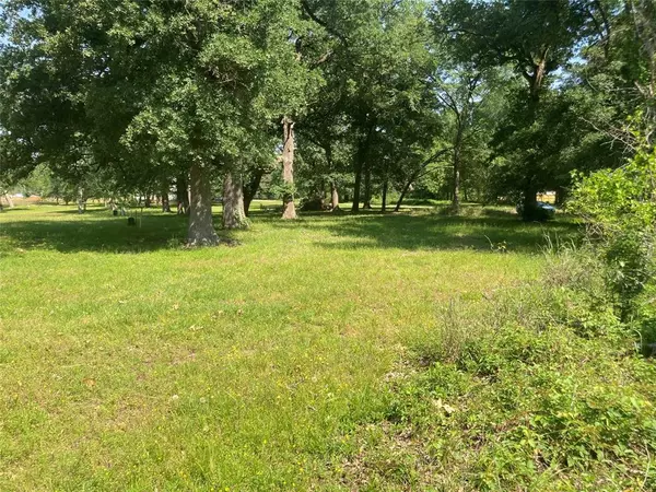 Livingston, TX 77351,LOT 77 Deep Woods Lane LN