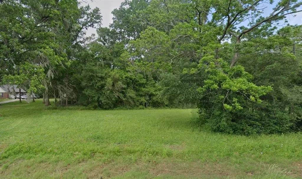 Angleton, TX 77515,125 Hidden Horse TRL