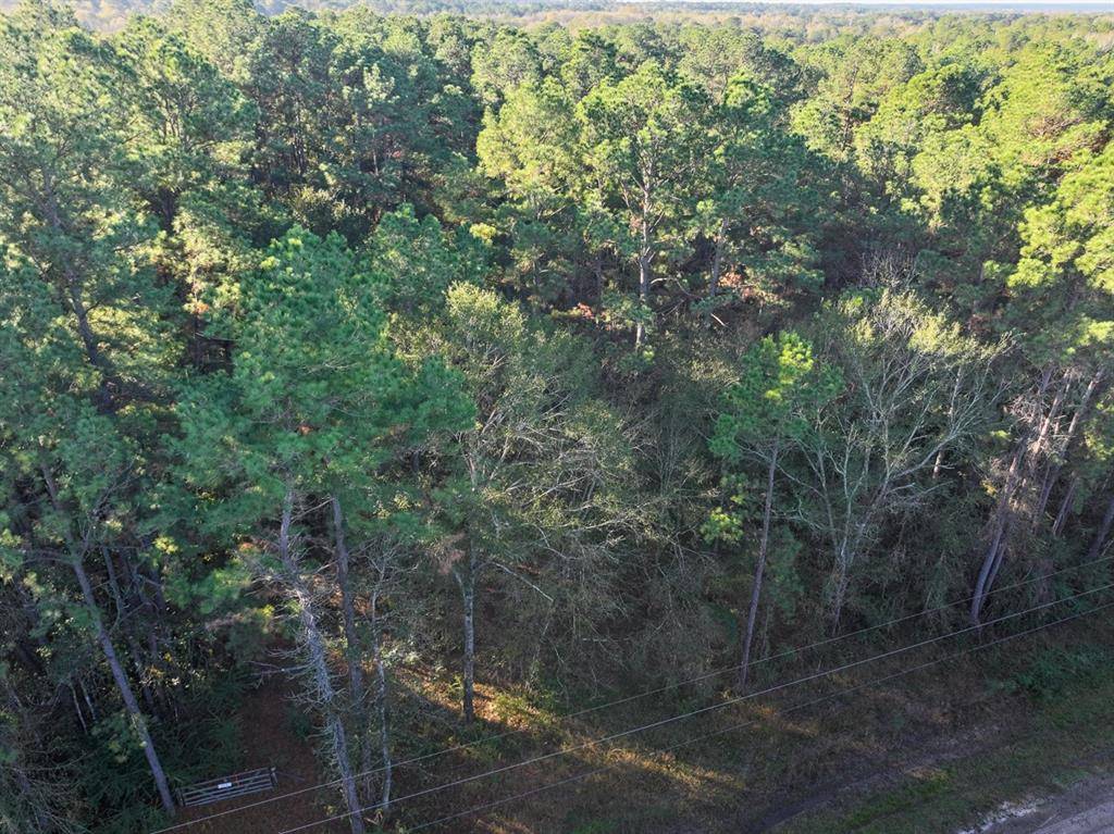 Huntsville, TX 77340,156 Lessa LN