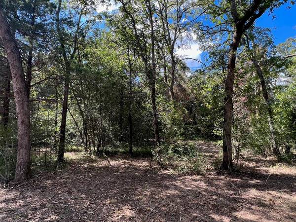 2.5 ac CR 114, Centerville, TX 75833