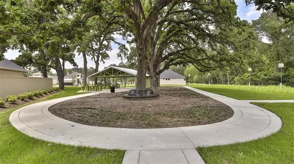 Magnolia, TX 77354,203 Ancient Murrelet CT