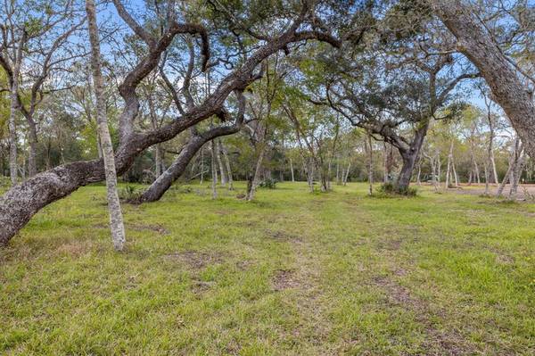 32518 Bayou BND, Richwood, TX 77515