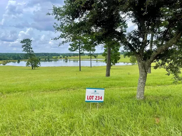 Hillister, TX 77624,TBD Lakeland Ranch Lot 234