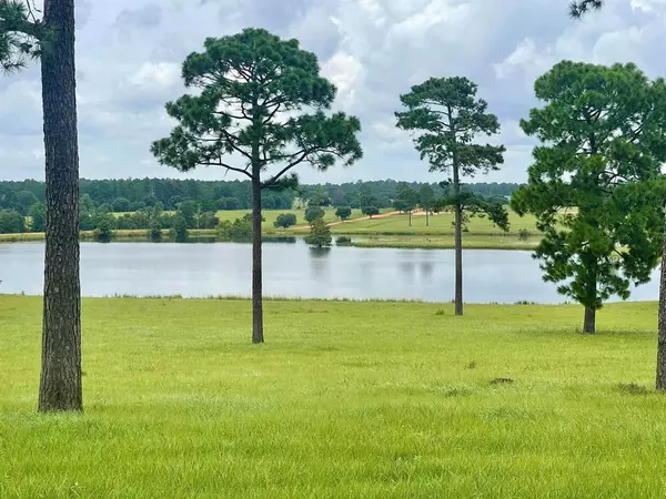 Hillister, TX 77624,TBD Lakeland Ranch Lot 234