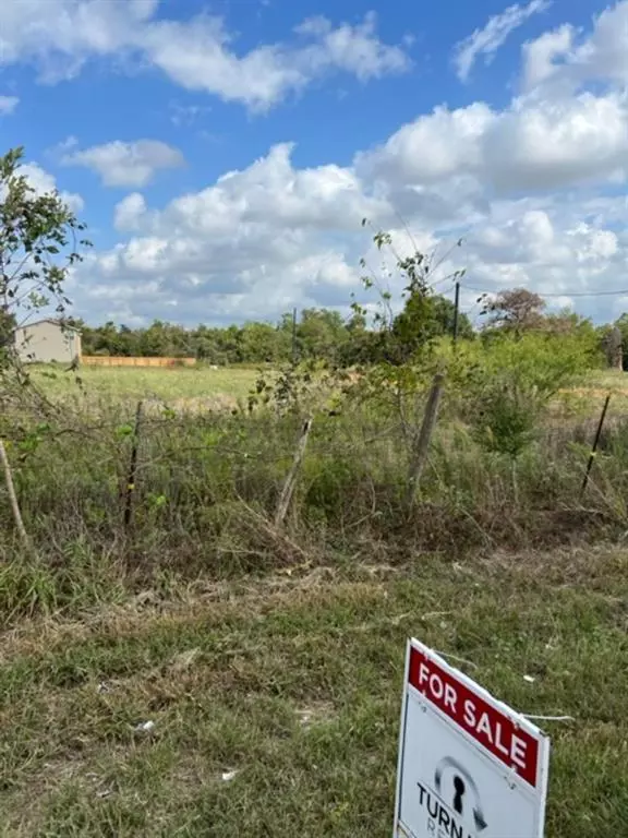 Hempstead, TX 77445,Lot 1 21st ST