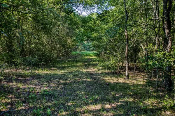 Caldwell, TX 77836,TBD (16.223 acres) Davidson Branch Road RD