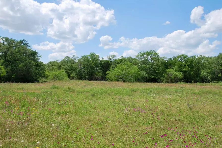 3802 County Rd 397, Moulton, TX 77975