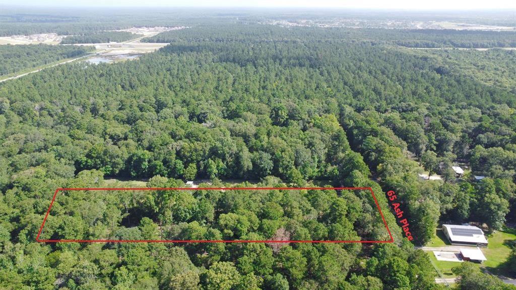 New Caney, TX 77357,65 Ash PL
