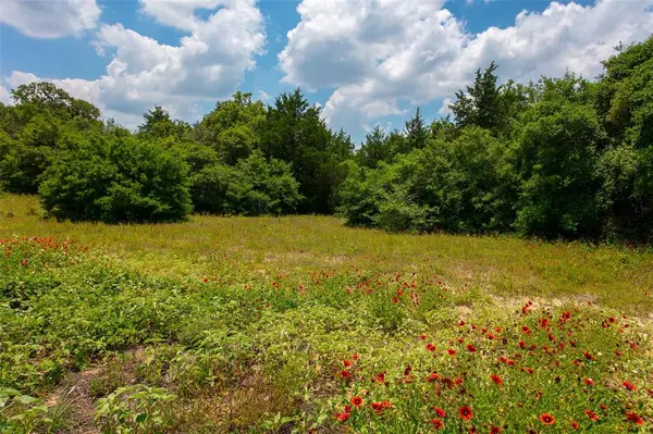 Caldwell, TX 77836,TBD County Road 316