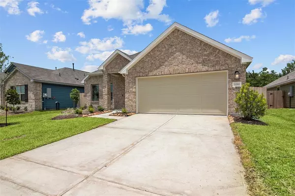 Alvin, TX 77511,1190 Filly Creek DR