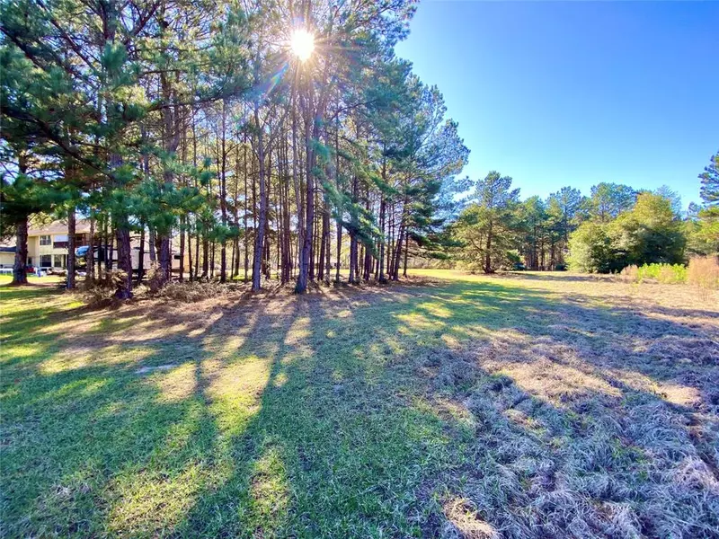 12 Hillside Lane, Willis, TX 77318