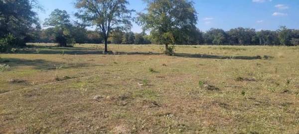 TBD County Rd 3495, Lovelady, TX 75851