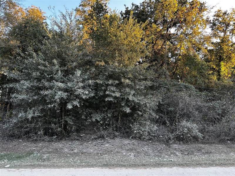 Lot 5 Tawnyberry- LN, Plantersville, TX 77363