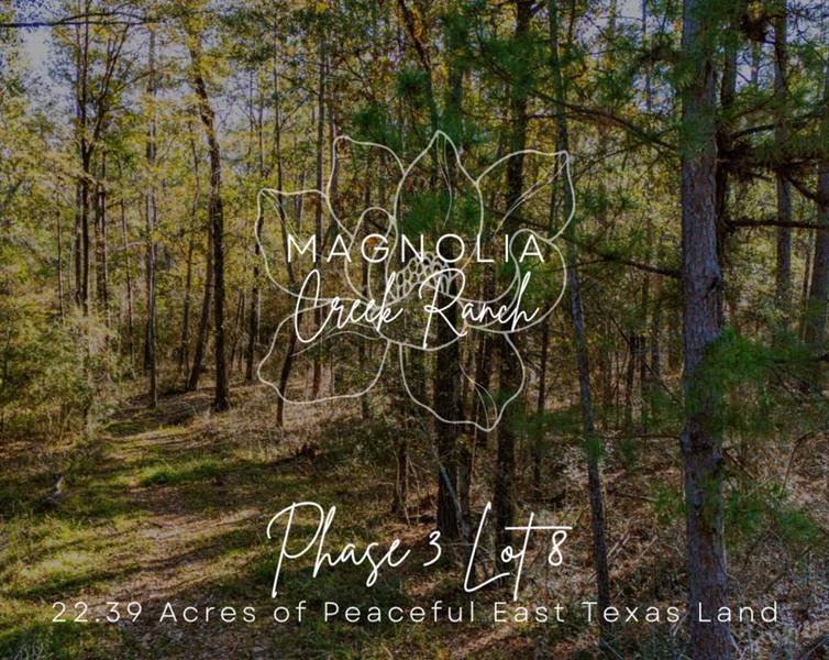 3484 FM 3459 Phase 3 Lot 8, Onalaska, TX 77360