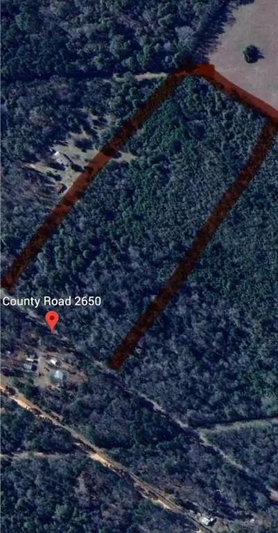 Livingston, TX 77327,0000 County Road 2650