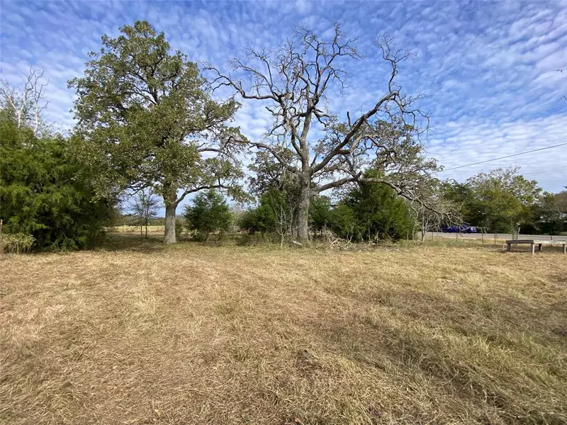 12.17 Acres Tx-90, Bedias, TX 77831