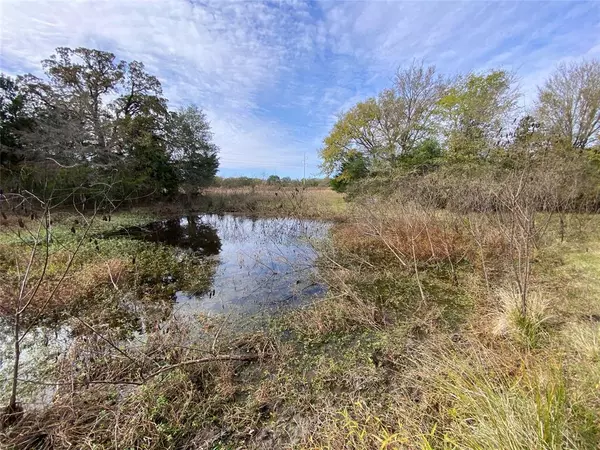 Bedias, TX 77831,12.17 Acres Tx-90