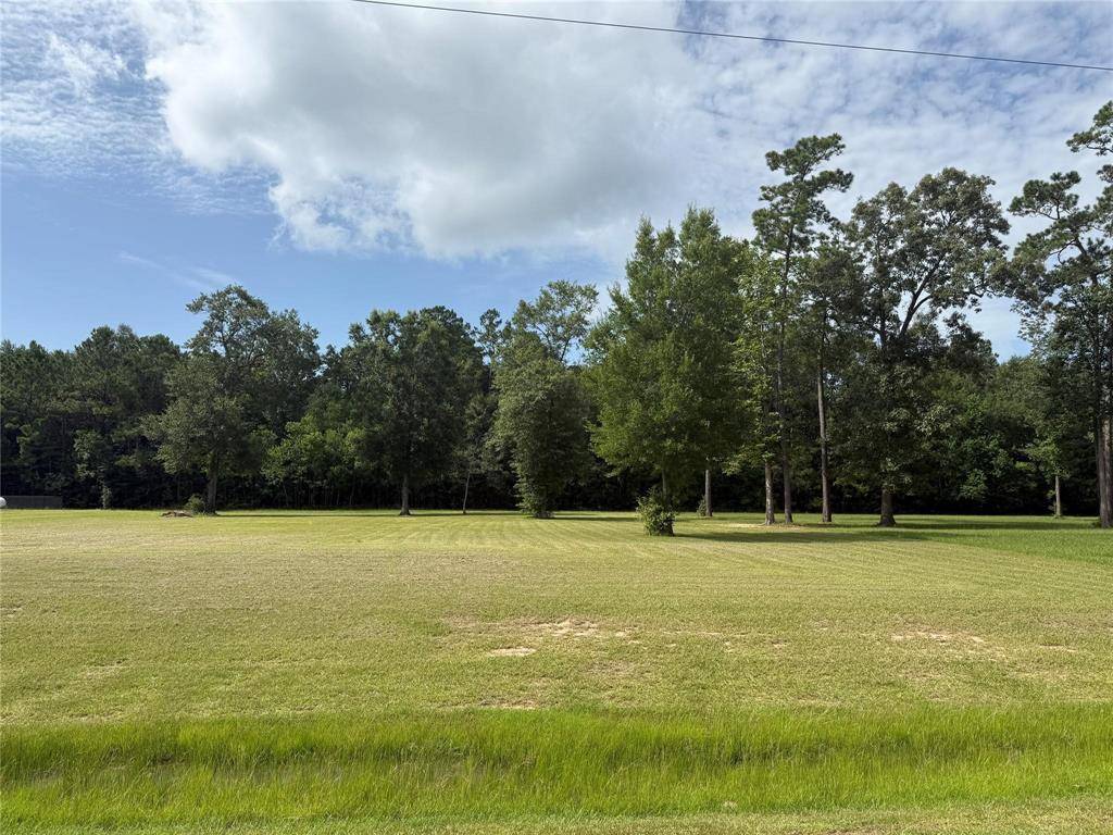 Anahuac, TX 77514,318 Pinchback DR