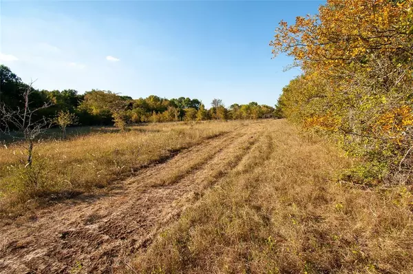 TBD County Rd 319, Navasota, TX 77868