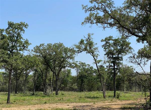 Smithville, TX 78957,TBD High Crossing Road - Tract 11