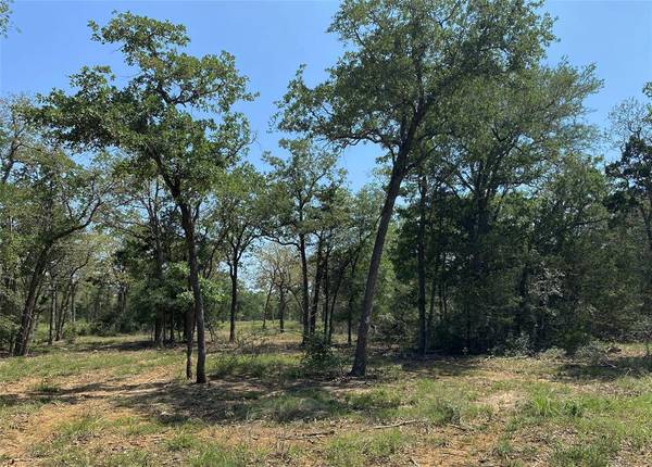 TBD High Crossing Road - Tract 11, Smithville, TX 78957