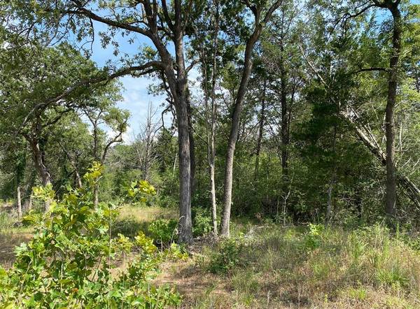 Smithville, TX 78957,TBD High Crossing Road - Tract 11