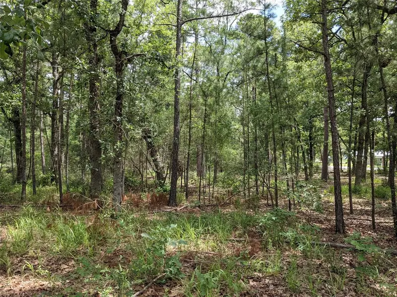 TBD Houston Lot 210 DR, Huntsville, TX 77320