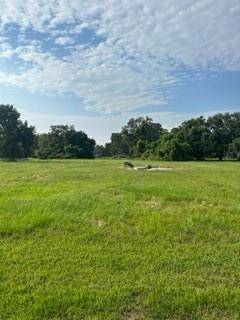 167 Horse Shoe TRL, Angleton, TX 77515