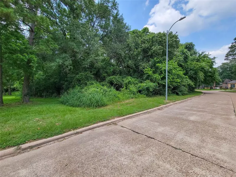 1602 Cypress Cove ST, Houston, TX 77090