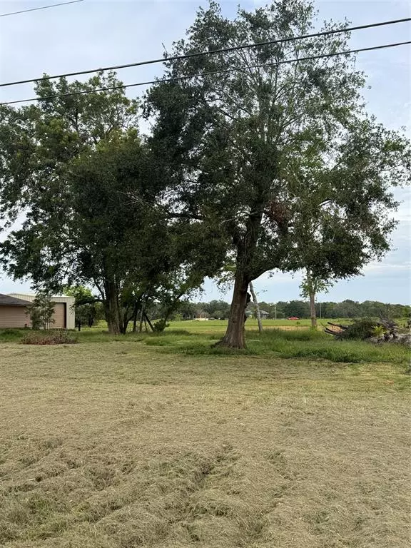 Angleton, TX 77515,Lot 11 Wagon Wheel Trail