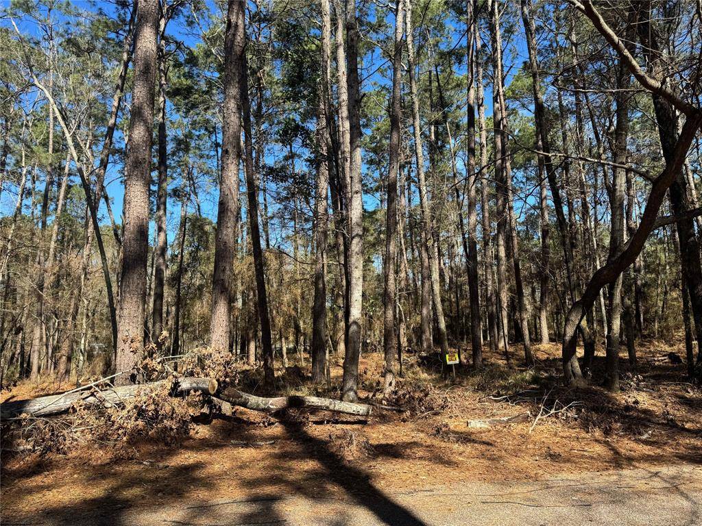 Coldspring, TX 77331,14 Altwood DR