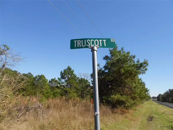 Groveton, TX 75845,287 Truscott RD