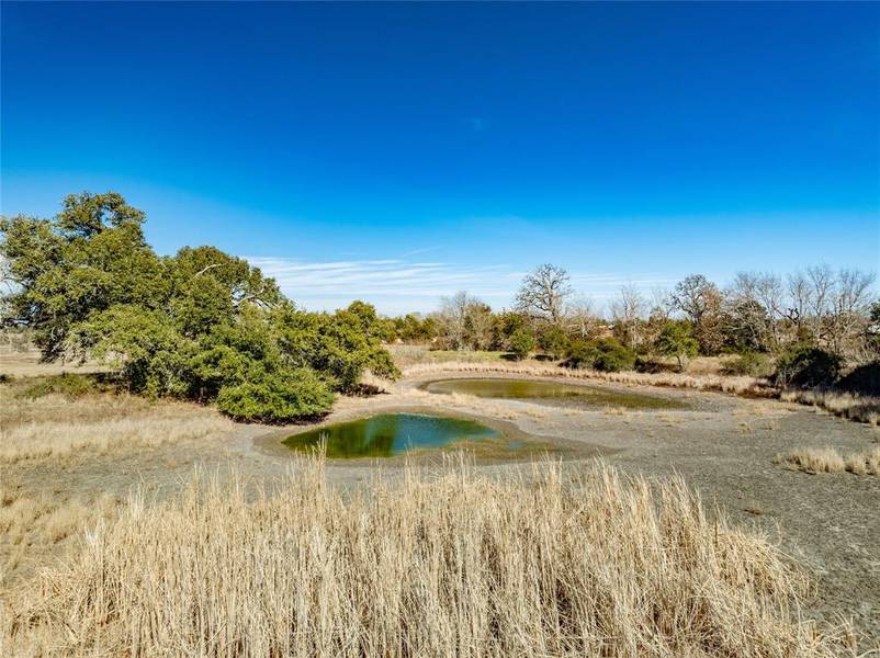 4619 Andreas RD, Round Top, TX 78954