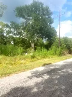 Trinity, TX 75862,Lot 21 W Rockdale ST