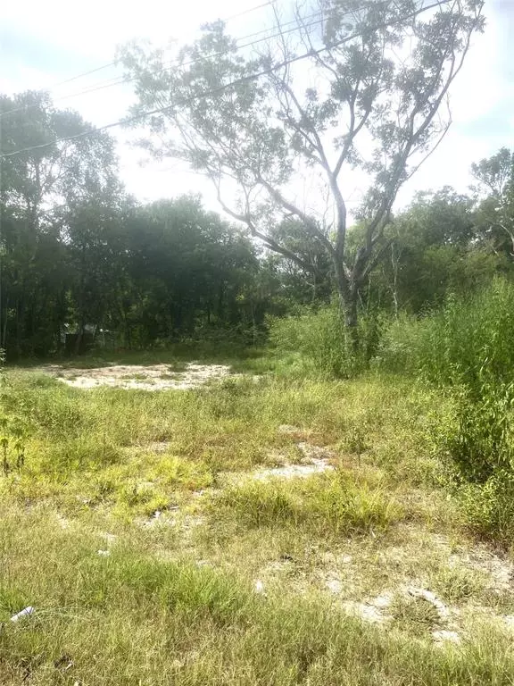 Trinity, TX 75862,Lot 21 & 23 W Rockdale ST