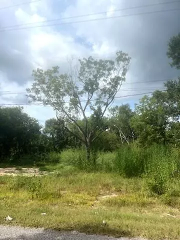 Trinity, TX 75862,Lot 21 W Rockdale ST