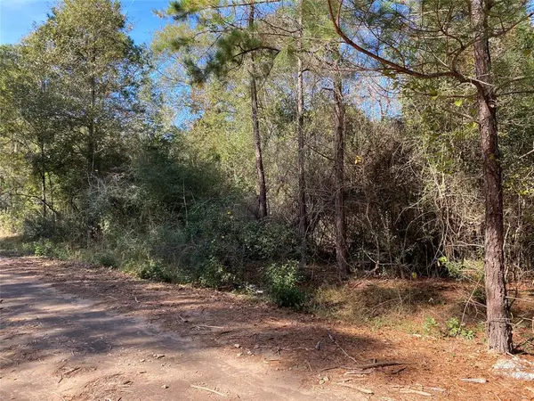 Plantersville, TX 77363,Lot 29 Greenway DR