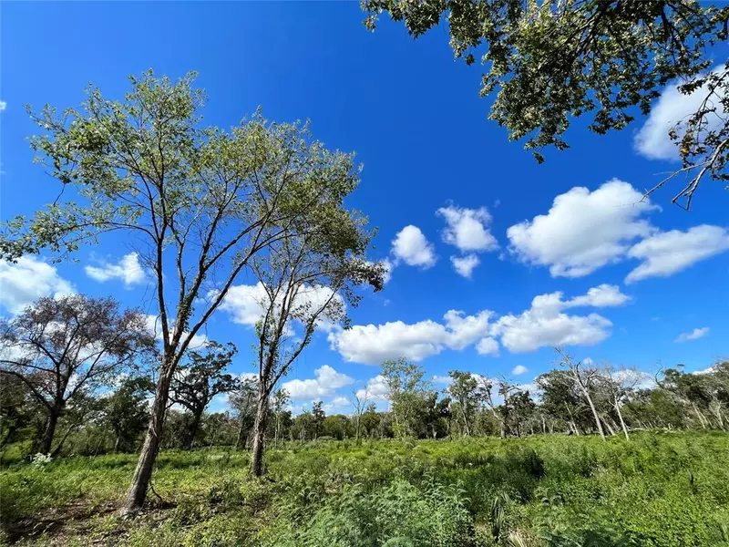 LOT 1 CR 506, Brazoria, TX 77422