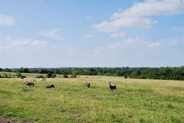 Shiner, TX 77984,Tract 2 County Road 291