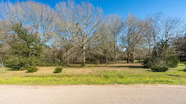 Magnolia, TX 77355,TBD Dunlevy ST